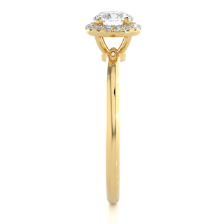 Round Stone Halo with Plain Band Moissanite Ring yellow gold